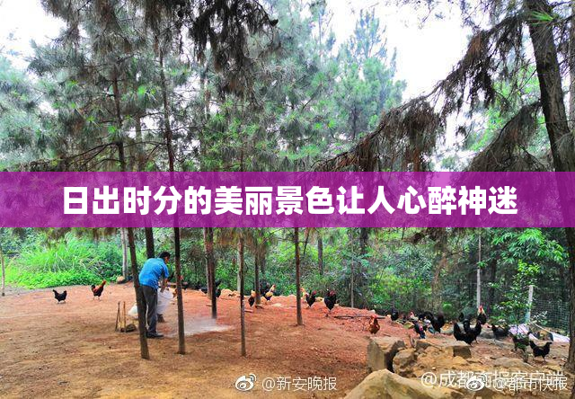 日出时分的美丽景色让人心醉神迷
