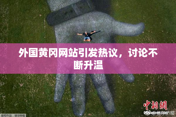 外国黄冈网站引发热议，讨论不断升温
