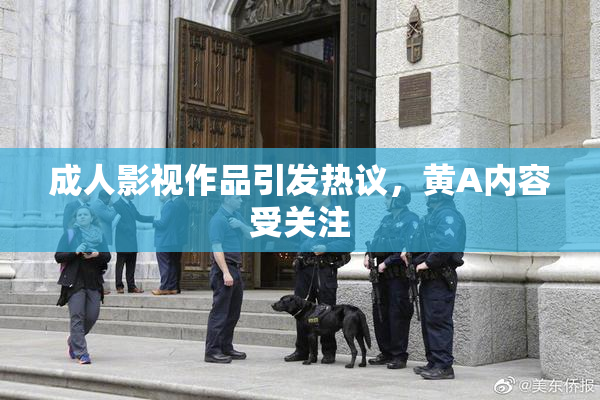 成人影视作品引发热议，黄A内容受关注