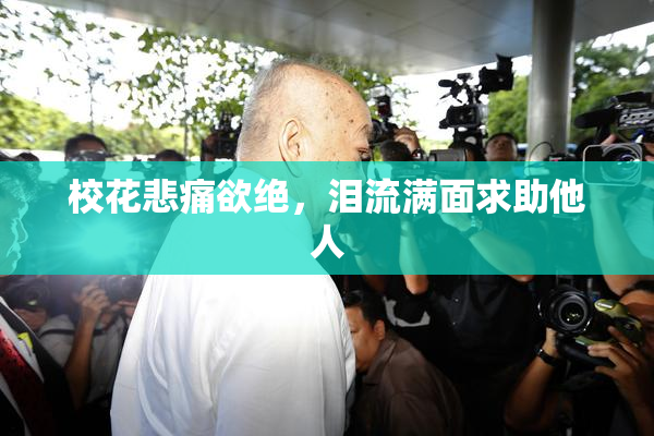 校花悲痛欲绝，泪流满面求助他人