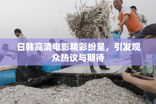 日韩高清电影精彩纷呈，引发观众热议与期待