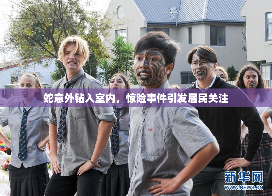 蛇意外钻入室内，惊险事件引发居民关注