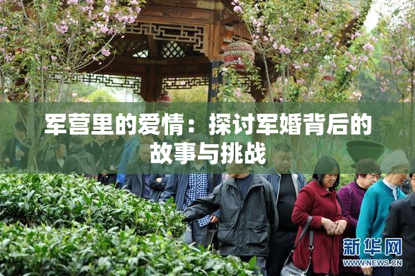 军营里的爱情：探讨军婚背后的故事与挑战
