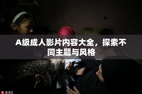 A级成人影片内容大全，探索不同主题与风格