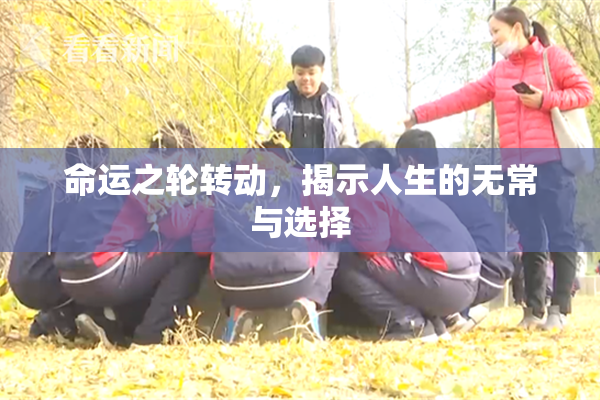 命运之轮转动，揭示人生的无常与选择