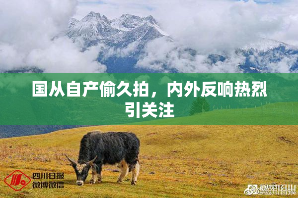 国从自产偷久拍，内外反响热烈引关注