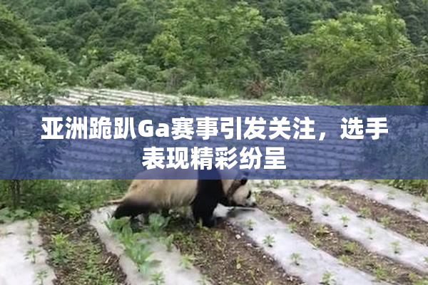 亚洲跪趴Ga赛事引发关注，选手表现精彩纷呈