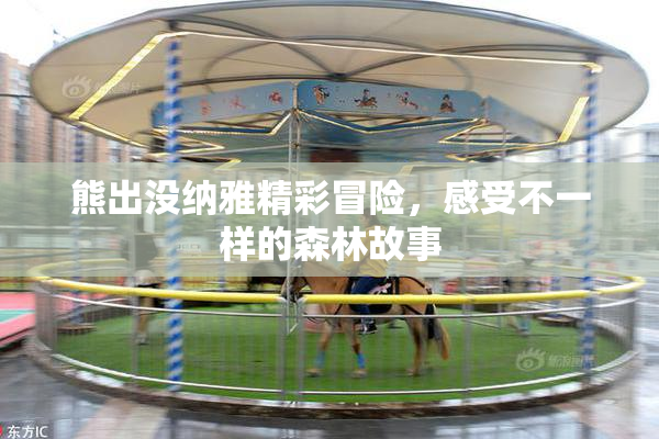 熊出没纳雅精彩冒险，感受不一样的森林故事