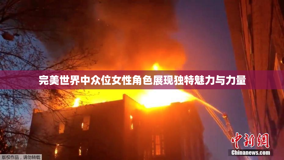 完美世界中众位女性角色展现独特魅力与力量