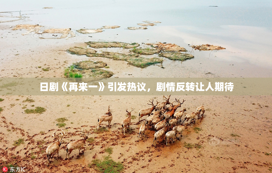 日剧《再来一》引发热议，剧情反转让人期待