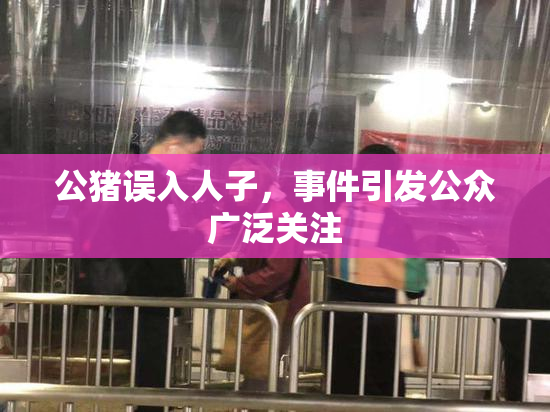 公猪误入人子，事件引发公众广泛关注