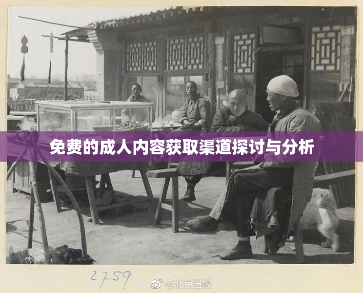 免费的成人内容获取渠道探讨与分析
