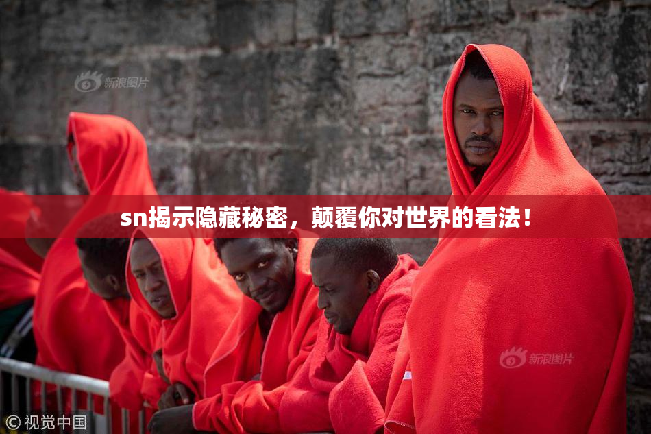 sn揭示隐藏秘密，颠覆你对世界的看法！