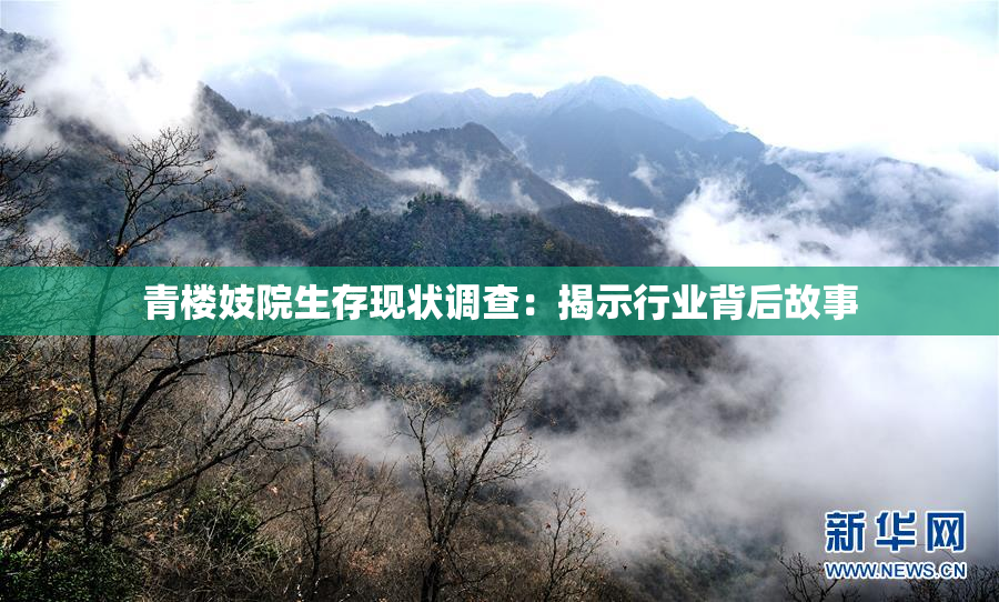 青楼妓院生存现状调查：揭示行业背后故事
