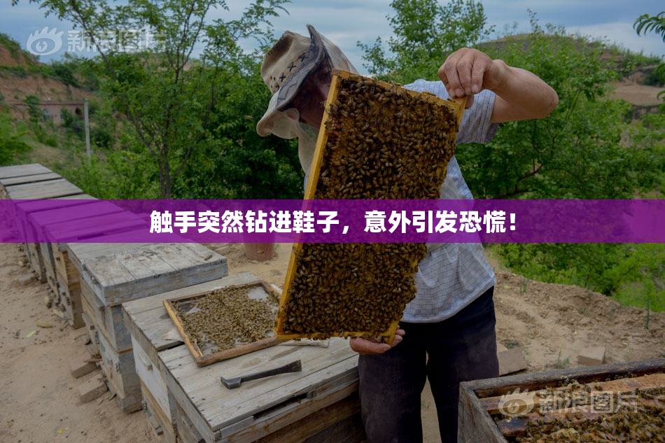 触手突然钻进鞋子，意外引发恐慌！