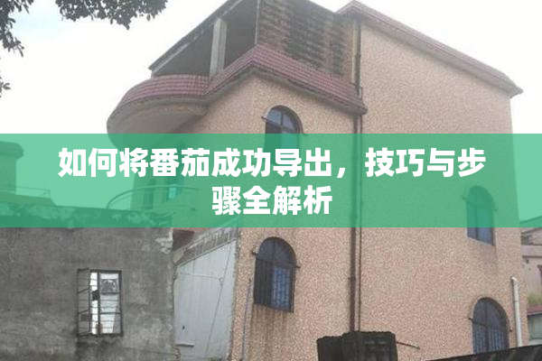 如何将番茄成功导出，技巧与步骤全解析