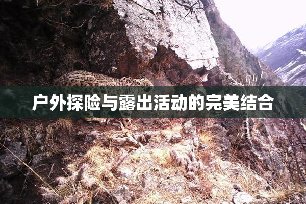 户外探险与露出活动的完美结合