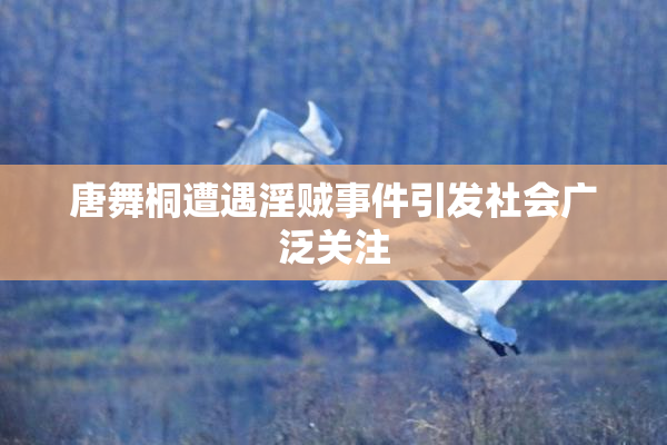 唐舞桐遭遇淫贼事件引发社会广泛关注