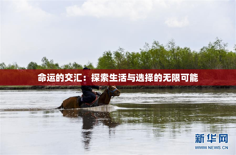 命运的交汇：探索生活与选择的无限可能