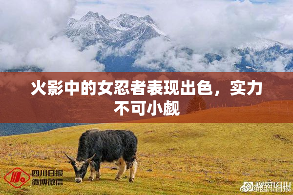 火影中的女忍者表现出色，实力不可小觑