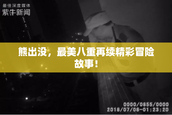 熊出没，最美八重再续精彩冒险故事！