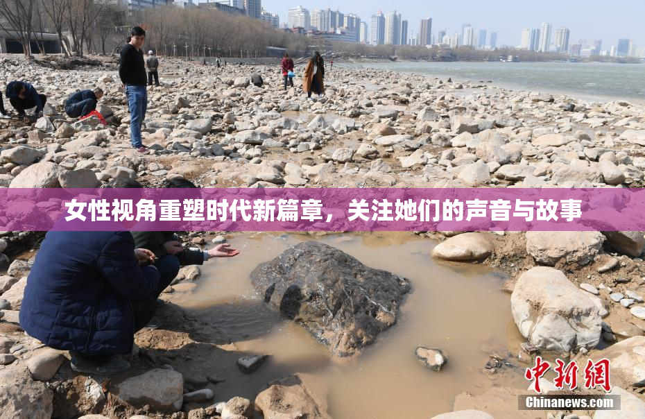 女性视角重塑时代新篇章，关注她们的声音与故事