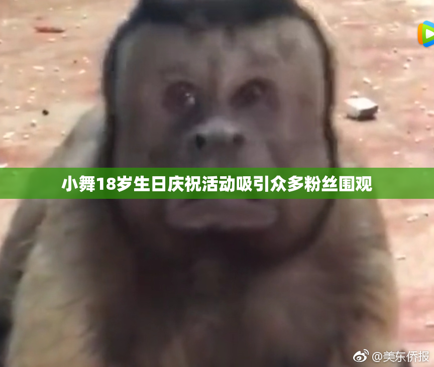 小舞18岁生日庆祝活动吸引众多粉丝围观