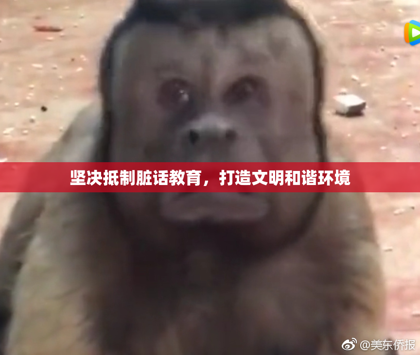 坚决抵制脏话教育，打造文明和谐环境