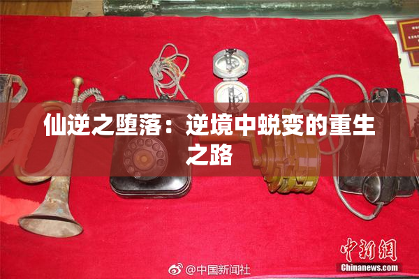 仙逆之堕落：逆境中蜕变的重生之路