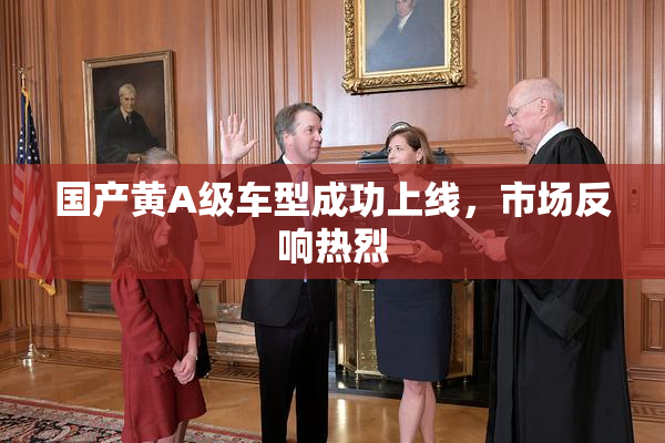 国产黄A级车型成功上线，市场反响热烈