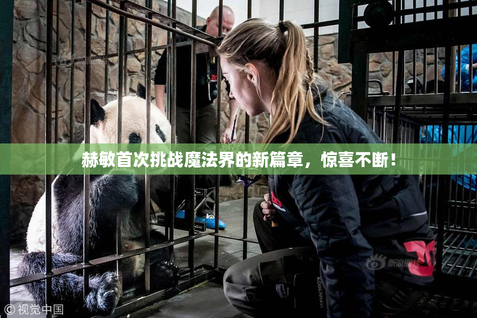 赫敏首次挑战魔法界的新篇章，惊喜不断！