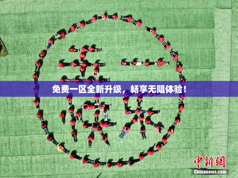 免费一区全新升级，畅享无阻体验！