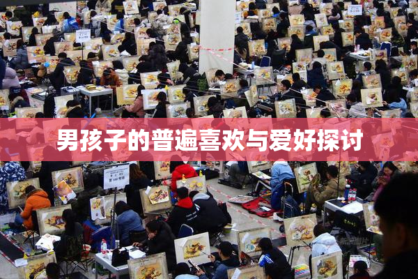 男孩子的普遍喜欢与爱好探讨