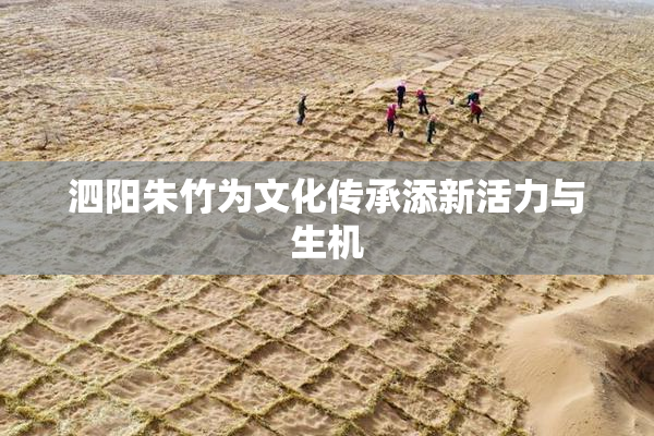 泗阳朱竹为文化传承添新活力与生机