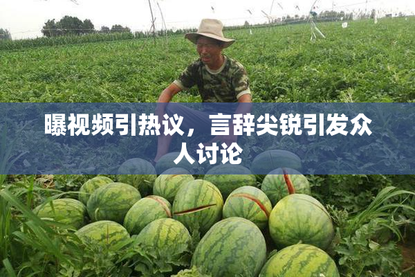曝视频引热议，言辞尖锐引发众人讨论