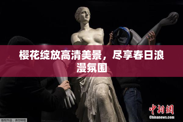 樱花绽放高清美景，尽享春日浪漫氛围