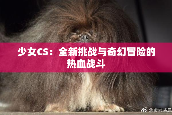 少女CS：全新挑战与奇幻冒险的热血战斗