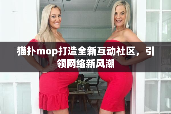 猫扑mop打造全新互动社区，引领网络新风潮