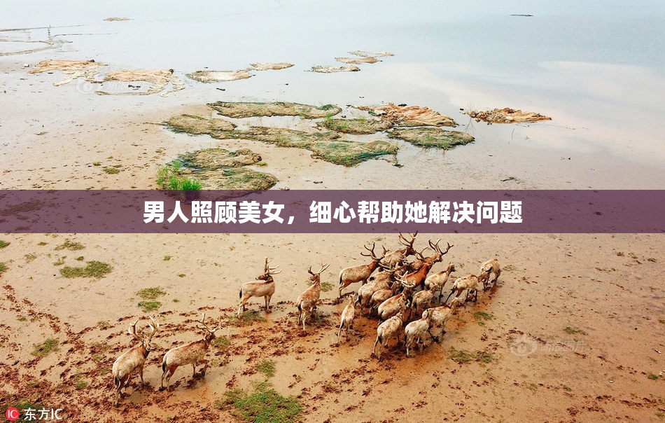 男人照顾美女，细心帮助她解决问题