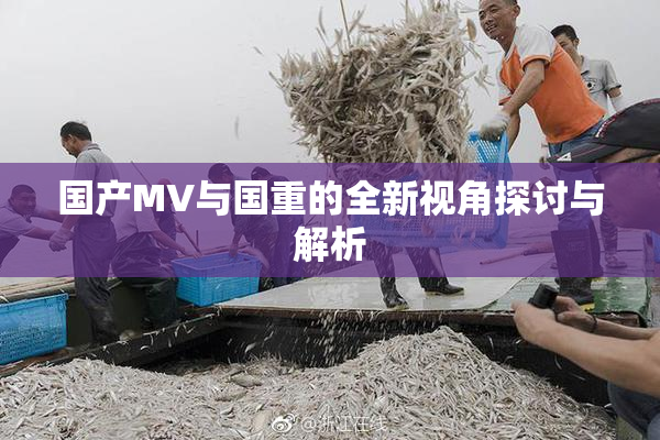 国产MV与国重的全新视角探讨与解析