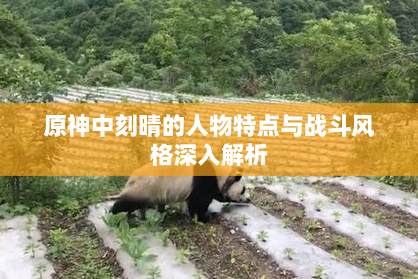 原神中刻晴的人物特点与战斗风格深入解析