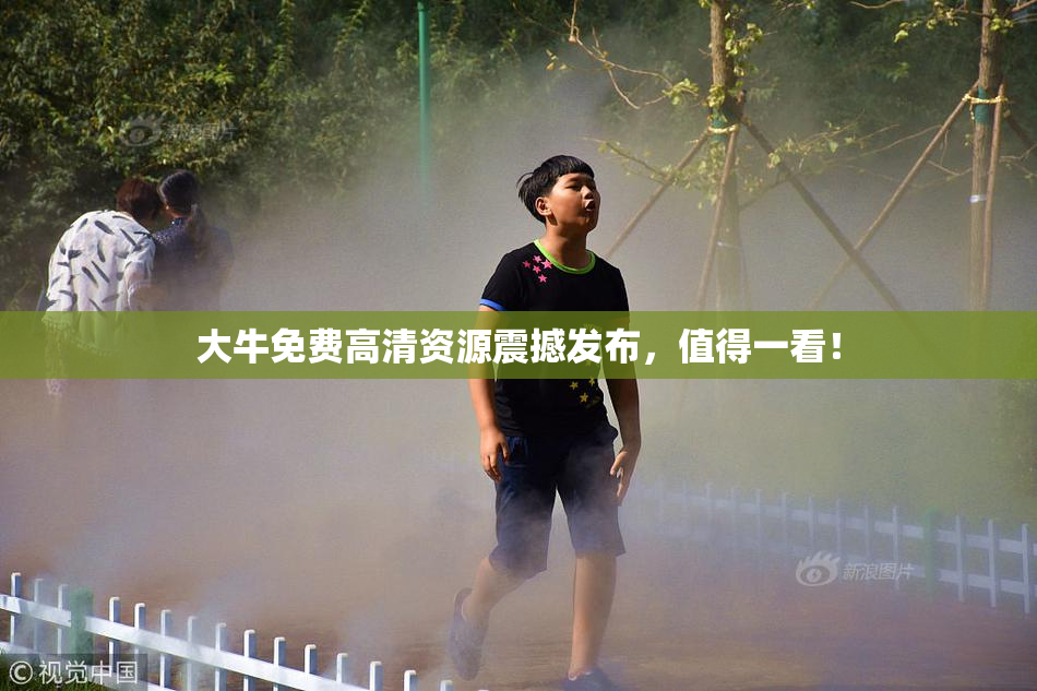 大牛免费高清资源震撼发布，值得一看！
