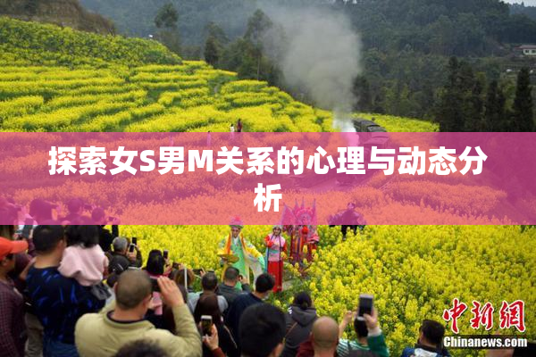 探索女S男M关系的心理与动态分析