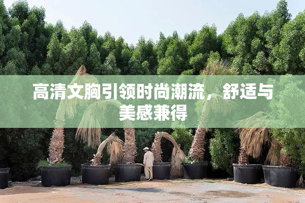 高清文胸引领时尚潮流，舒适与美感兼得