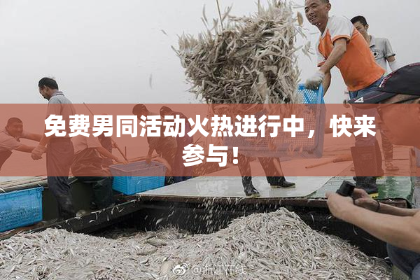 免费男同活动火热进行中，快来参与！