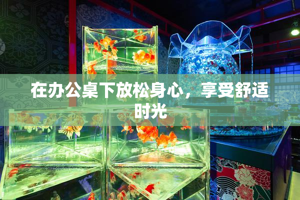 在办公桌下放松身心，享受舒适时光