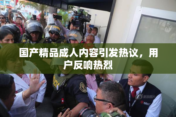 国产精品成人内容引发热议，用户反响热烈