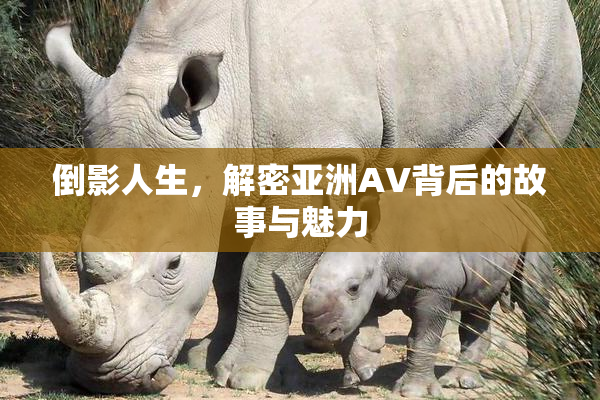 倒影人生，解密亚洲AV背后的故事与魅力