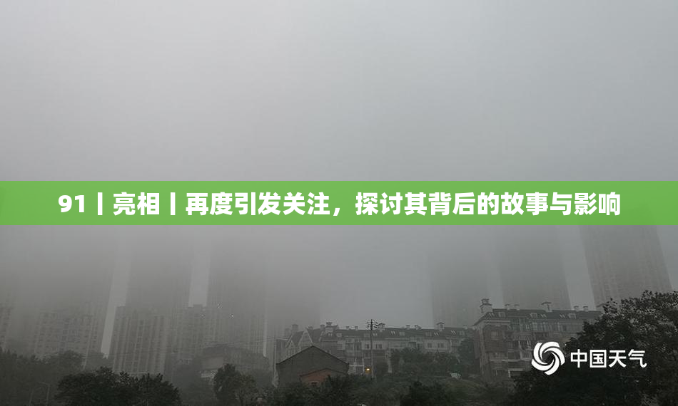 91丨亮相丨再度引发关注，探讨其背后的故事与影响