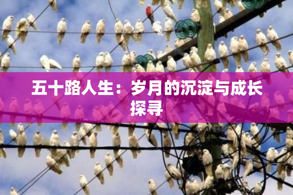 五十路人生：岁月的沉淀与成长探寻